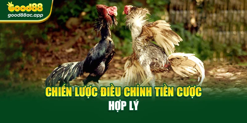 Chiến lược điều chỉnh tiền cược hợp lý