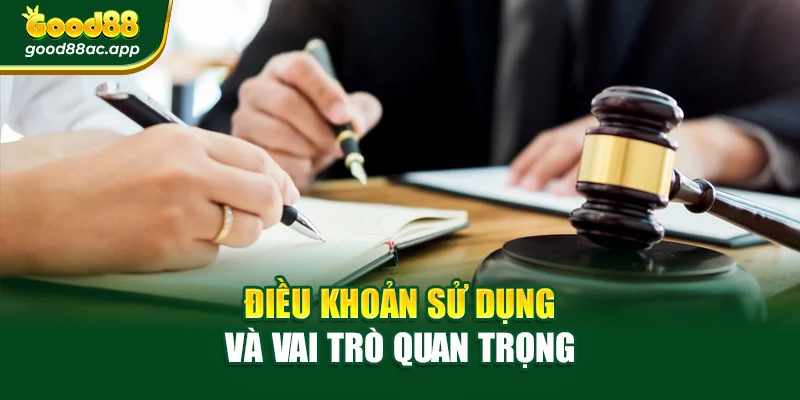 Điều khoản sử dụng và vai trò quan trọng