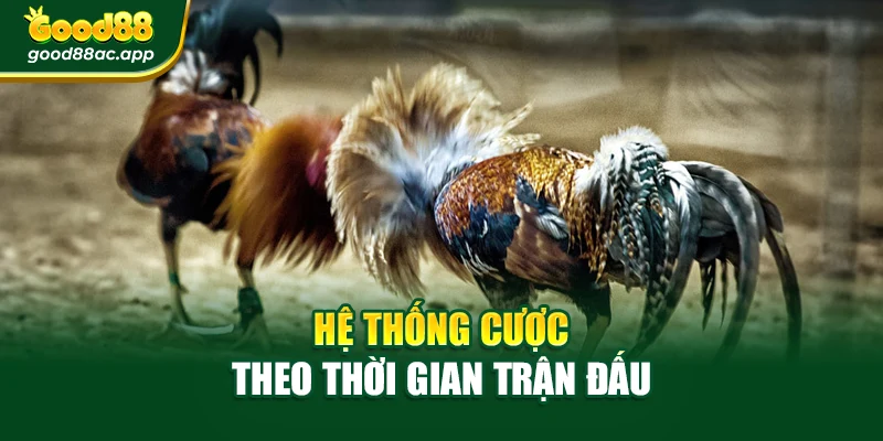 Hệ thống cược theo thời gian trận đấu