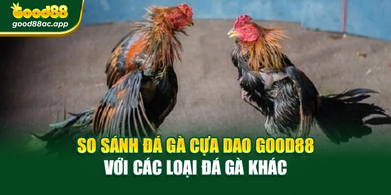 So sánh Đá gà cựa dao Good88 với các loại đá gà khác