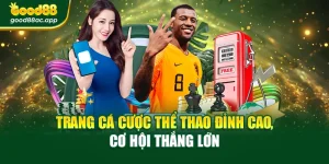 Trang Cá Cược Thể Thao Đỉnh Cao, Cơ Hội Thắng Lớn